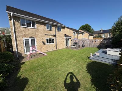 Picture 25